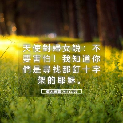 Picture 05 - 馬 太 福 音 28:5 CUVT - 天 使 對 婦 女 說 ： 不 要 害 怕 ！ - Bible Verse Picture