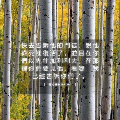 Picture 05 - 馬 太 福 音 28:7 CUVT - 快 去 告 訴 他 的 門 徒 ， 說 他 從 - Bible Verse Picture