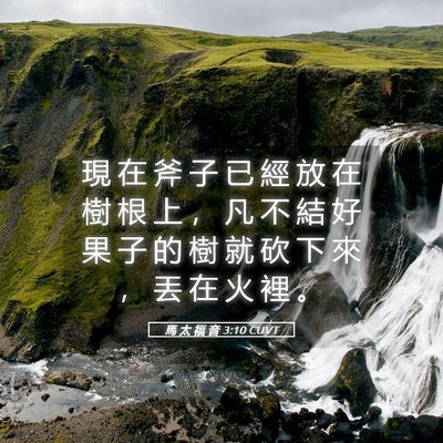 Picture 05 - 馬 太 福 音 3:10 CUVT - 現 在 斧 子 已 經 放 在 樹 根 上 ， - Bible Verse Picture