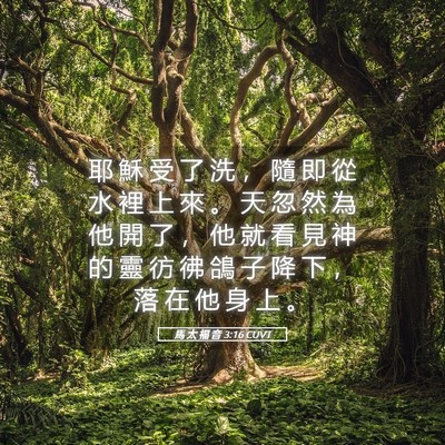 Picture 05 - 馬 太 福 音 3:16 CUVT - 耶 穌 受 了 洗 ， 隨 即 從 水 裡 上 - Bible Verse Picture