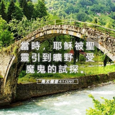 Picture 05 - 馬 太 福 音 4:1 CUVT - 當 時 ， 耶 穌 被 聖 靈 引 到 曠 野 - Bible Verse Picture