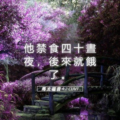 Picture 05 - 馬 太 福 音 4:2 CUVT - 他 禁 食 四 十 晝 夜 ， 後 來 就 餓 - Bible Verse Picture