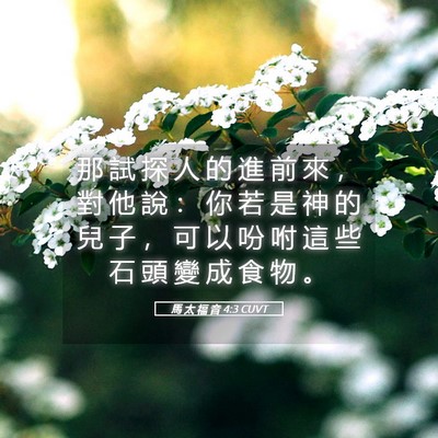 Picture 05 - 馬 太 福 音 4:3 CUVT - 那 試 探 人 的 進 前 來 ， 對 他 說 - Bible Verse Picture