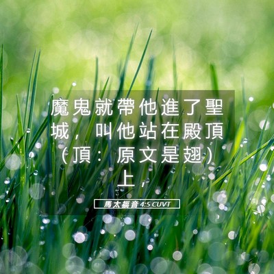 Picture 05 - 馬 太 福 音 4:5 CUVT - 魔 鬼 就 帶 他 進 了 聖 城 ， 叫 他 - Bible Verse Picture