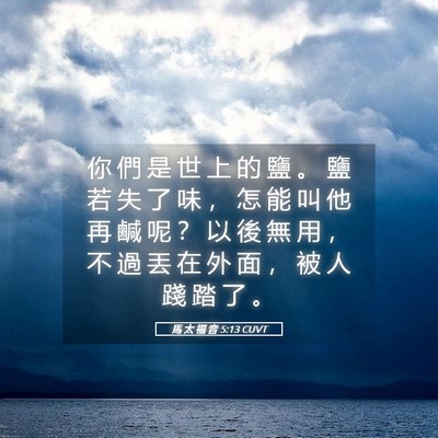 Picture 05 - 馬 太 福 音 5:13 CUVT - 你 們 是 世 上 的 鹽 。 鹽 若 失 了 - Bible Verse Picture