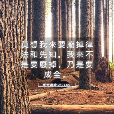 Picture 05 - 馬 太 福 音 5:17 CUVT - 莫 想 我 來 要 廢 掉 律 法 和 先 知 - Bible Verse Picture