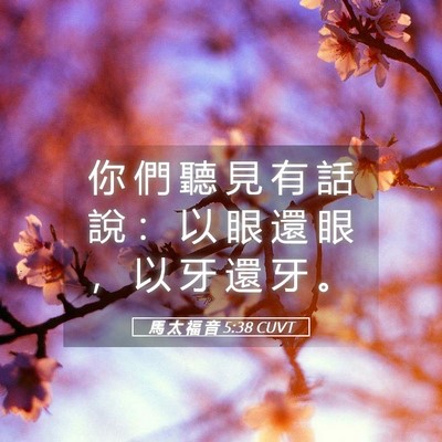 Picture 05 - 馬 太 福 音 5:38 CUVT - 你 們 聽 見 有 話 說 ： 以 眼 還 眼 - Bible Verse Picture