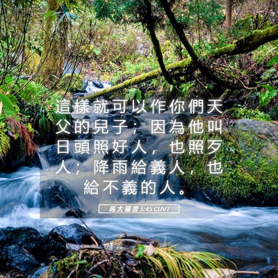 Picture 05 - 馬 太 福 音 5:45 CUVT - 這 樣 就 可 以 作 你 們 天 父 的 兒 - Bible Verse Picture