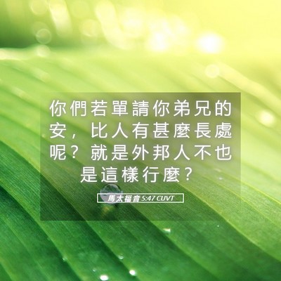 Picture 05 - 馬 太 福 音 5:47 CUVT - 你 們 若 單 請 你 弟 兄 的 安 ， 比 - Bible Verse Picture