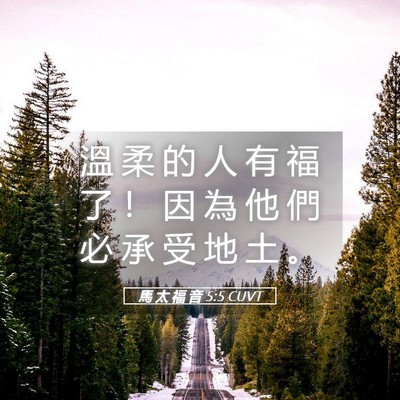 Picture 05 - 馬 太 福 音 5:5 CUVT - 溫 柔 的 人 有 福 了 ！ 因 為 他 們 - Bible Verse Picture