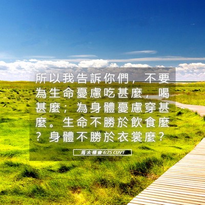 Picture 05 - 馬 太 福 音 6:25 CUVT - 所 以 我 告 訴 你 們 ， 不 要 為 生 - Bible Verse Picture