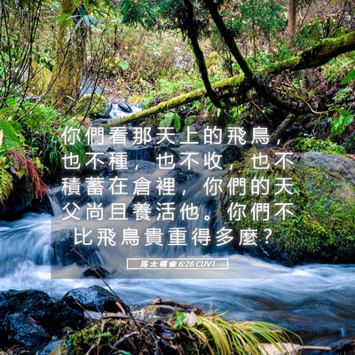 Picture 05 - 馬 太 福 音 6:26 CUVT - 你 們 看 那 天 上 的 飛 鳥 ， 也 不 - Bible Verse Picture