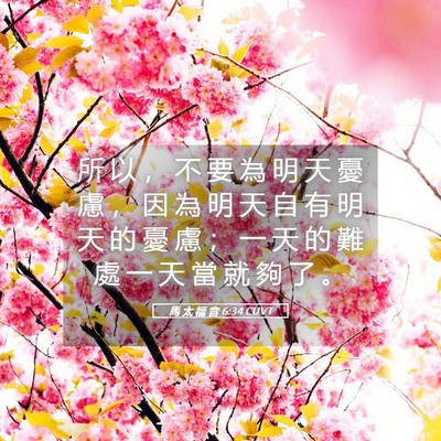 Picture 05 - 馬 太 福 音 6:34 CUVT - 所 以 ， 不 要 為 明 天 憂 慮 ， 因 - Bible Verse Picture