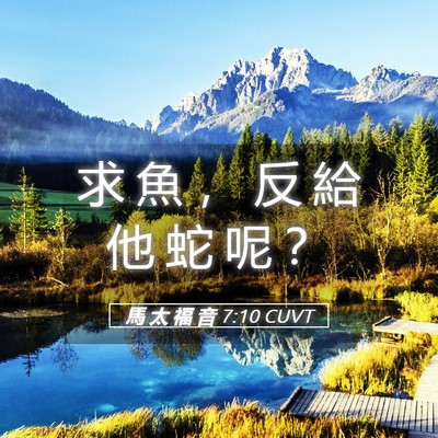 Picture 05 - 馬 太 福 音 7:10 CUVT - 求 魚 ， 反 給 他 蛇 呢 - Bible Verse Picture