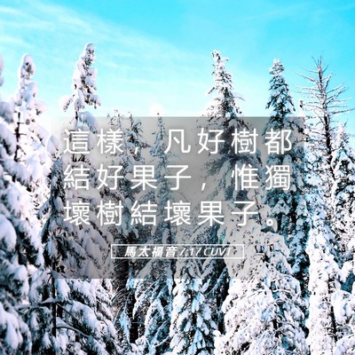 Picture 05 - 馬 太 福 音 7:17 CUVT - 這 樣 ， 凡 好 樹 都 結 好 果 子 ， - Bible Verse Picture