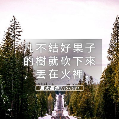 Picture 05 - 馬 太 福 音 7:19 CUVT - 凡 不 結 好 果 子 的 樹 就 砍 下 來 - Bible Verse Picture