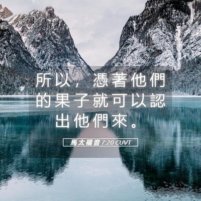 Picture 05 - 馬 太 福 音 7:20 CUVT - 所 以 ， 憑 著 他 們 的 果 子 就 可 - Bible Verse Picture