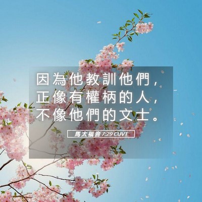 Picture 05 - 馬 太 福 音 7:29 CUVT - 因 為 他 教 訓 他 們 ， 正 像 有 權 - Bible Verse Picture