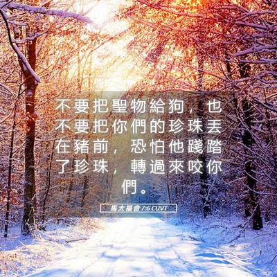 Picture 05 - 馬 太 福 音 7:6 CUVT - 不 要 把 聖 物 給 狗 ， 也 不 要 把 - Bible Verse Picture