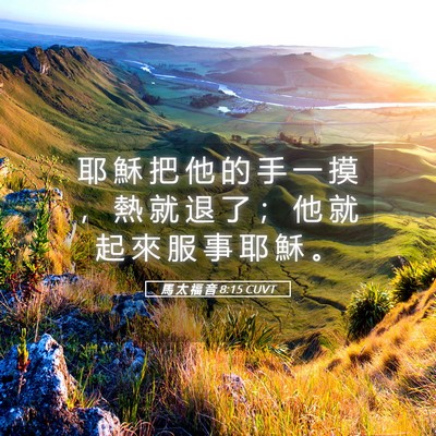 Picture 05 - 馬 太 福 音 8:15 CUVT - 耶 穌 把 他 的 手 一 摸 ， 熱 就 退 - Bible Verse Picture