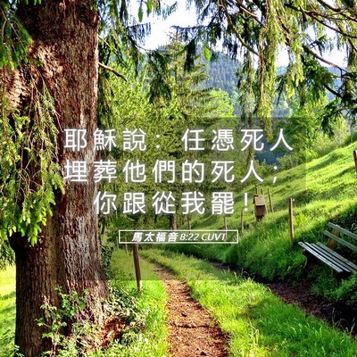 Picture 05 - 馬 太 福 音 8:22 CUVT - 耶 穌 說 ： 任 憑 死 人 埋 葬 他 們 - Bible Verse Picture