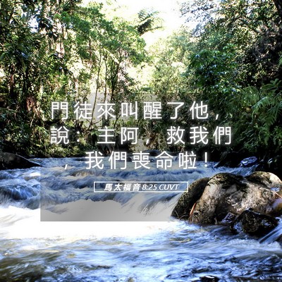 Picture 05 - 馬 太 福 音 8:25 CUVT - 門 徒 來 叫 醒 了 他 ， 說 ： 主 阿 - Bible Verse Picture