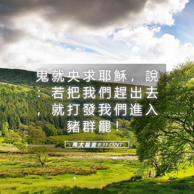 Picture 05 - 馬 太 福 音 8:31 CUVT - 鬼 就 央 求 耶 穌 ， 說 ： 若 把 我 - Bible Verse Picture
