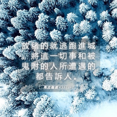 Picture 05 - 馬 太 福 音 8:33 CUVT - 放 豬 的 就 逃 跑 進 城 ， 將 這 一 - Bible Verse Picture