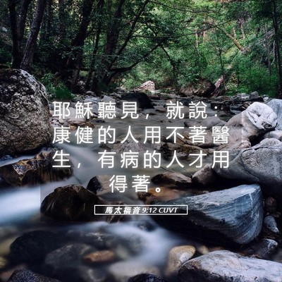 Picture 05 - 馬 太 福 音 9:12 CUVT - 耶 穌 聽 見 ， 就 說 ： 康 健 的 人 - Bible Verse Picture