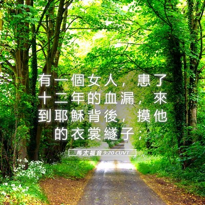 Picture 05 - 馬 太 福 音 9:20 CUVT - 有 一 個 女 人 ， 患 了 十 二 年 的 - Bible Verse Picture