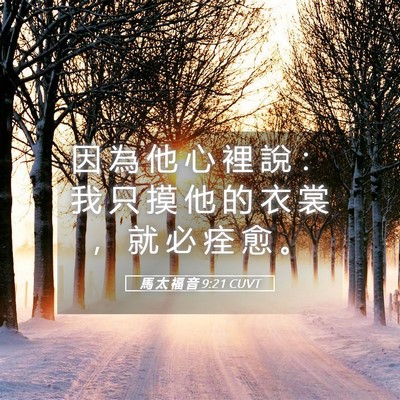 Picture 05 - 馬 太 福 音 9:21 CUVT - 因 為 他 心 裡 說 ： 我 只 摸 他 的 - Bible Verse Picture