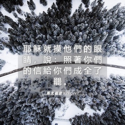 Picture 05 - 馬 太 福 音 9:29 CUVT - 耶 穌 就 摸 他 們 的 眼 睛 ， 說 ： - Bible Verse Picture