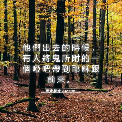 Picture 05 - 馬 太 福 音 9:32 CUVT - 他 們 出 去 的 時 候 ， 有 人 將 鬼 - Bible Verse Picture