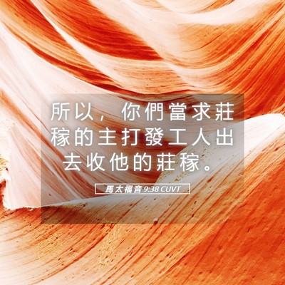 Picture 05 - 馬 太 福 音 9:38 CUVT - 所 以 ， 你 們 當 求 莊 稼 的 主 打 - Bible Verse Picture