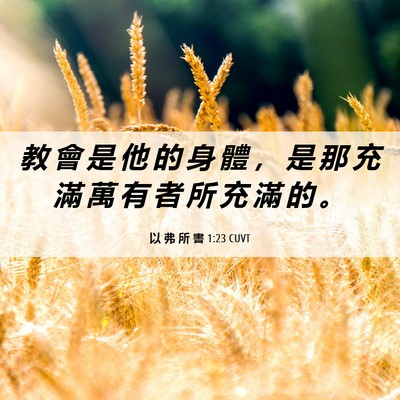 Picture 06 - 以 弗 所 書 1:23 CUVT - 教 會 是 他 的 身 體 ， 是 那 充 滿 - Bible Verse Picture