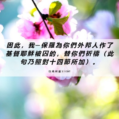Picture 06 - 以 弗 所 書 3:1 CUVT - 因 此 ， 我 ─ 保 羅 為 你 們 外 邦 - Bible Verse Picture