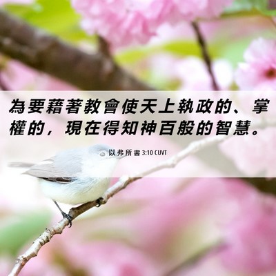 Picture 06 - 以 弗 所 書 3:10 CUVT - 為 要 藉 著 教 會 使 天 上 執 政 的 - Bible Verse Picture