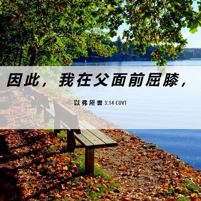 Picture 06 - 以 弗 所 書 3:14 CUVT - 因 此 ， 我 在 父 面 前 屈 膝 - Bible Verse Picture