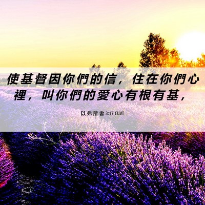 Picture 06 - 以 弗 所 書 3:17 CUVT - 使 基 督 因 你 們 的 信 ， 住 在 你 - Bible Verse Picture