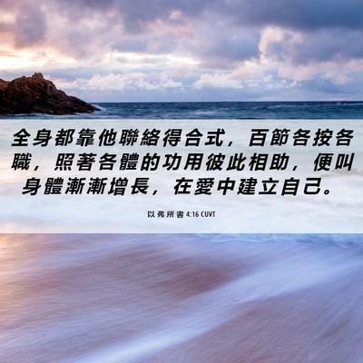 Picture 06 - 以 弗 所 書 4:16 CUVT - 全 身 都 靠 他 聯 絡 得 合 式 ， 百 - Bible Verse Picture