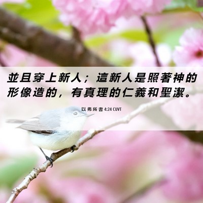 Picture 06 - 以 弗 所 書 4:24 CUVT - 並 且 穿 上 新 人 ； 這 新 人 是 照 - Bible Verse Picture