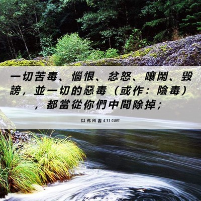 Picture 06 - 以 弗 所 書 4:31 CUVT - 一 切 苦 毒 、 惱 恨 、 忿 怒 、 嚷 - Bible Verse Picture