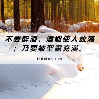 Picture 06 - 以 弗 所 書 5:18 CUVT - 不 要 醉 酒 ， 酒 能 使 人 放 蕩 ； - Bible Verse Picture