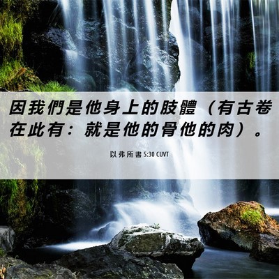 Picture 06 - 以 弗 所 書 5:30 CUVT - 因 我 們 是 他 身 上 的 肢 體 （ 有 - Bible Verse Picture