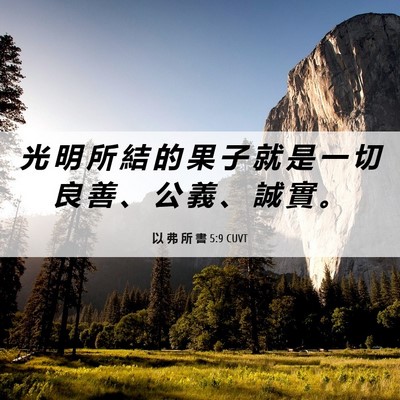 Picture 06 - 以 弗 所 書 5:9 CUVT - 光 明 所 結 的 果 子 就 是 一 切 良 - Bible Verse Picture