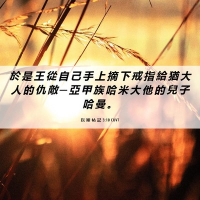 Picture 06 - 以 斯 帖 記 3:10 CUVT - 於 是 王 從 自 己 手 上 摘 下 戒 指 - Bible Verse Picture
