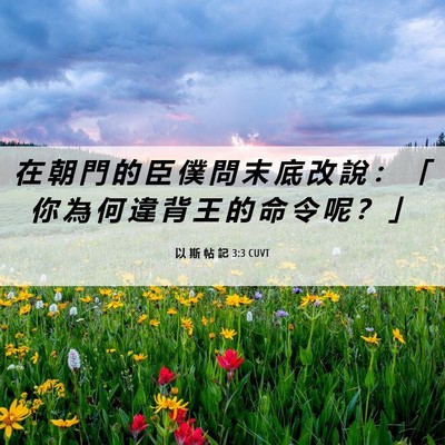 Picture 06 - 以 斯 帖 記 3:3 CUVT - 在 朝 門 的 臣 僕 問 末 底 改 說 ： - Bible Verse Picture