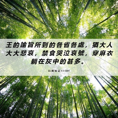 Picture 06 - 以 斯 帖 記 4:3 CUVT - 王 的 諭 旨 所 到 的 各 省 各 處 ， - Bible Verse Picture