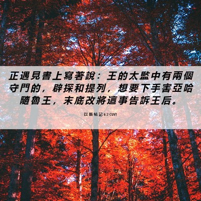 Picture 06 - 以 斯 帖 記 6:2 CUVT - 正 遇 見 書 上 寫 著 說 ： 王 的 太 - Bible Verse Picture