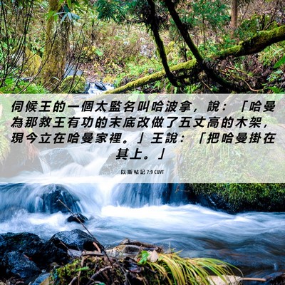 Picture 06 - 以 斯 帖 記 7:9 CUVT - 伺 候 王 的 一 個 太 監 名 叫 哈 波 - Bible Verse Picture